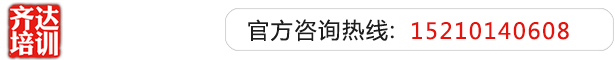 操逼无码视频网站齐达艺考文化课-艺术生文化课,艺术类文化课,艺考生文化课logo